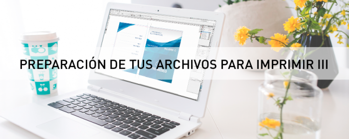 Archivos_para_imprimirIII