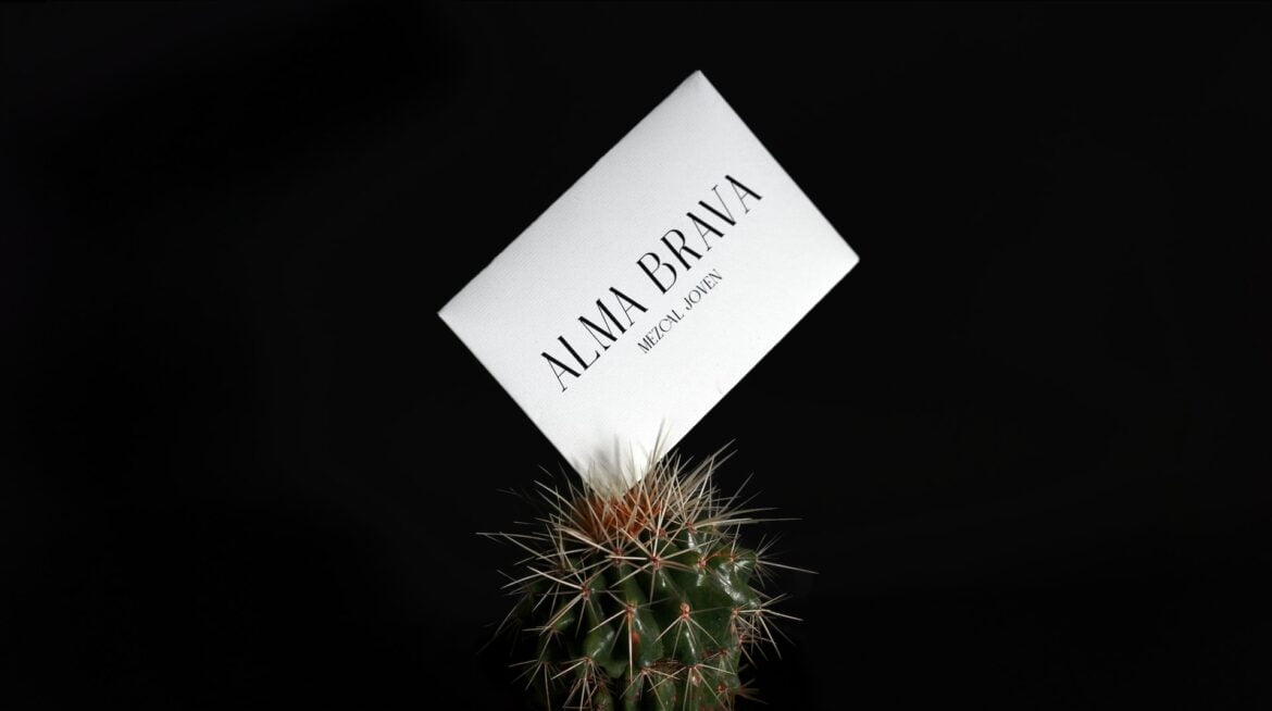 Tarjeta de visita Tarjeta de visita