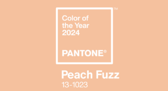 Color Pantone 2024 : El Peach Fuzz
