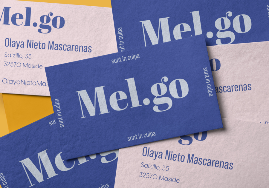 carte_melgo-1_maxWidth_900_maxHeight_630_ppi_72_quality_100_embedMetadata_true_contentETag_4_embedColorProfile_true tarjeta mel.go